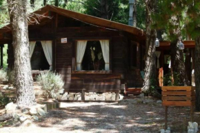 Cabaña El Deseo En El Bosque
